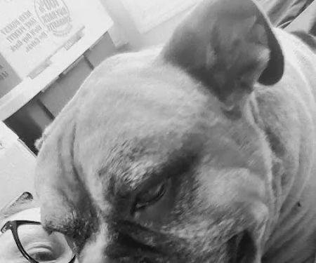 Carpenter Veterinary Clinic