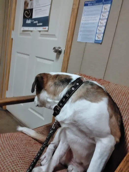 Carpenter Veterinary Clinic Picture 4