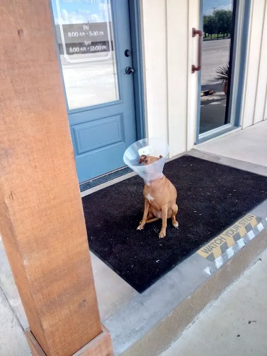 Cross Timbers Veterinary Hospital Picture 1