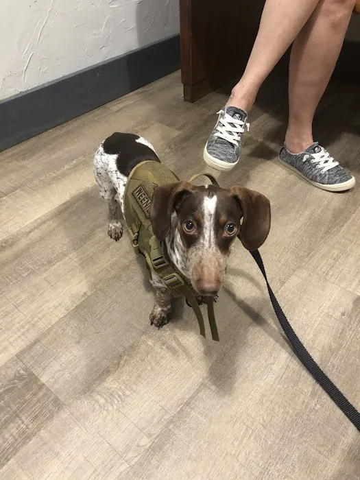 Cross Timbers Veterinary Hospital Picture 2