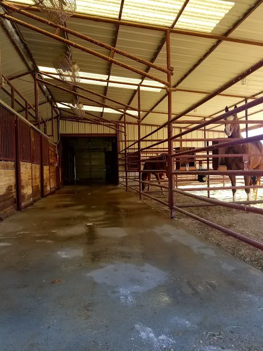 Cross Timbers Veterinary Hospital Picture 3