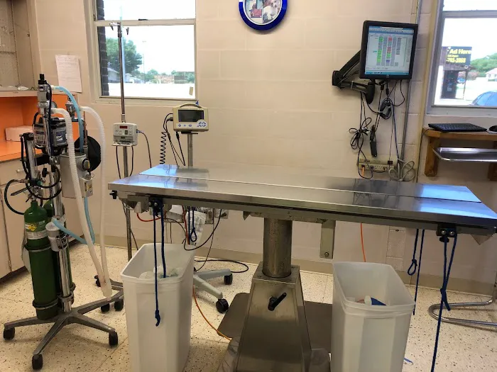 Cross Timbers Veterinary Hospital Picture 7
