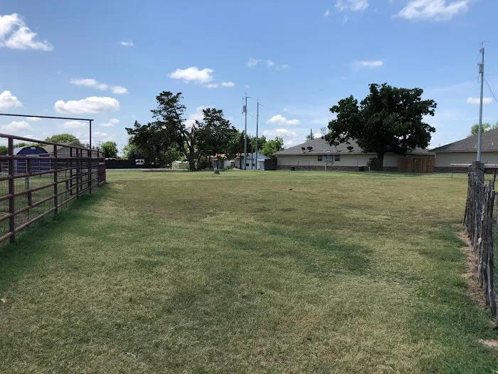 Cross Timbers Veterinary Hospital Picture 6