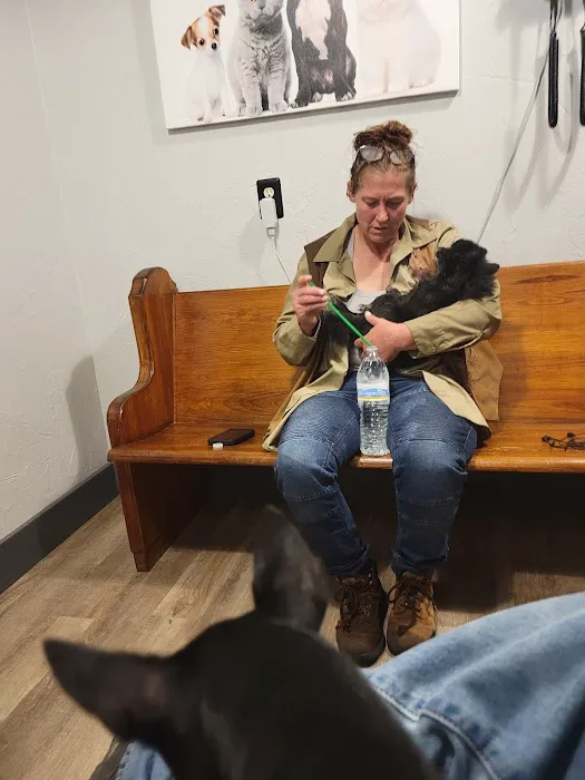 Cross Timbers Veterinary Hospital Picture 8