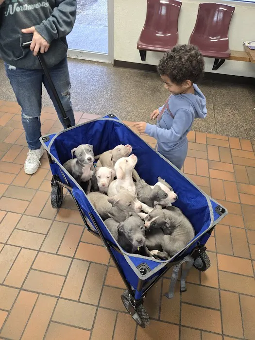 Animal Medical Care Picture 9