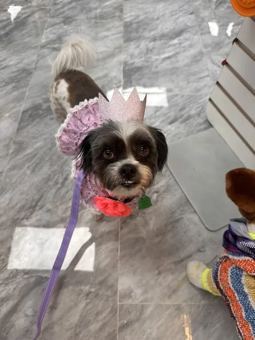 Temple Veterinary Hospital of Western Hills Picture 10