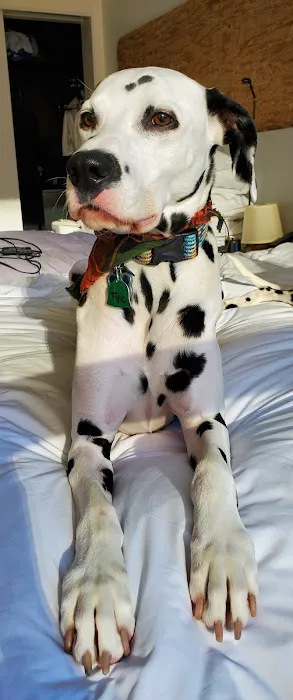 Loop 363 Animal Hospital Picture 1