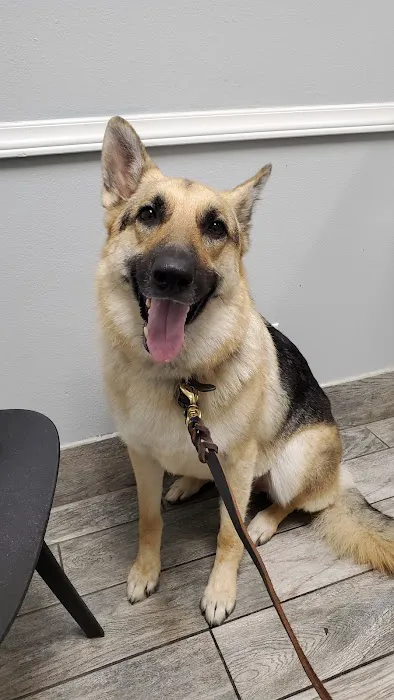 Loop 363 Animal Hospital Picture 4
