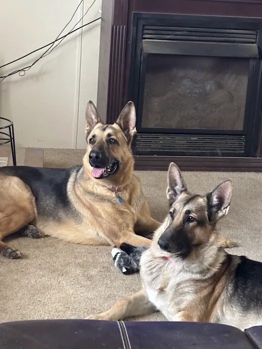 Loop 363 Animal Hospital Picture 6