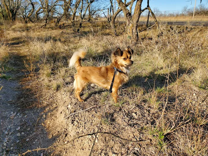 Comanche County Veterinary Picture 6