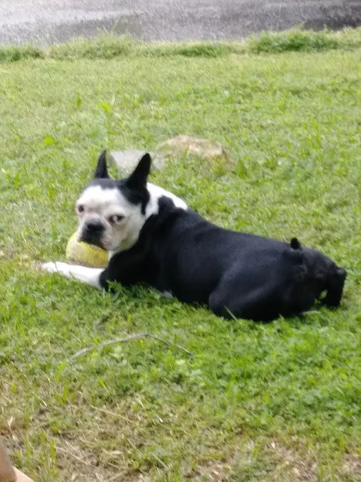 Comanche County Veterinary Picture 8
