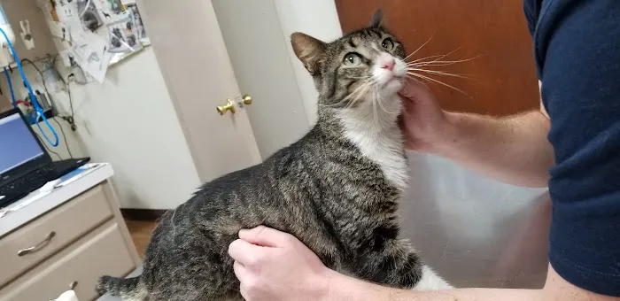 Bryan County Animal Hospital Picture 1
