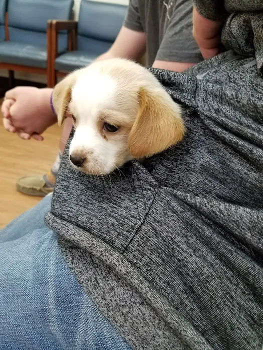 Bryan County Animal Hospital Picture 6