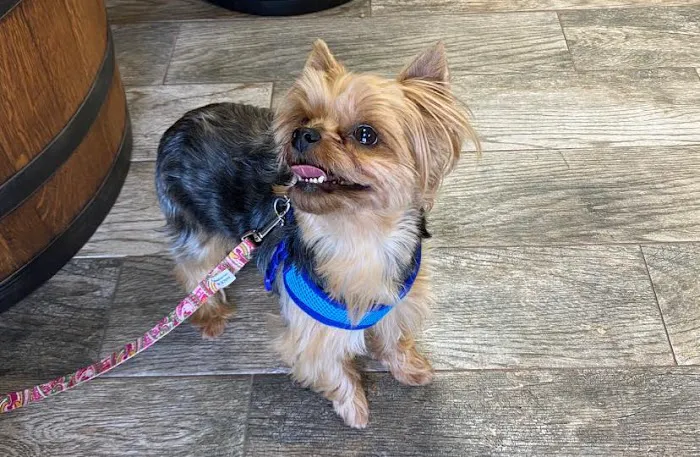 49th Street Veterinary Clinic and Pet Spa Picture 1