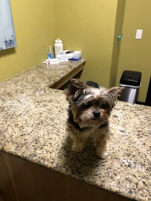 The Vet on 4th Picture 7