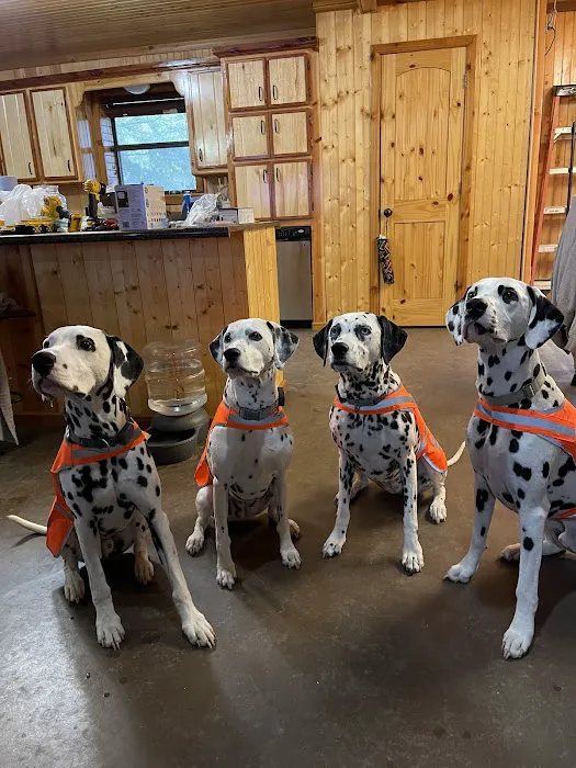 The Vet on 4th Picture 5