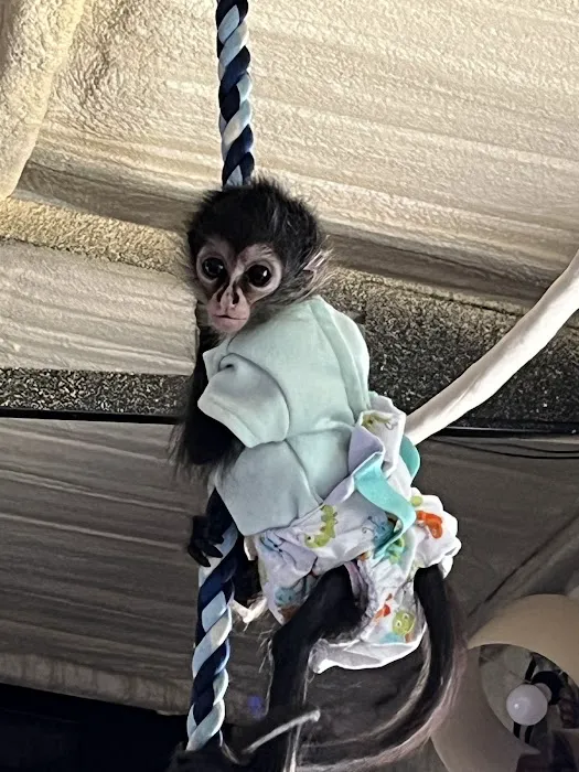 Animal Health and Hospital Picture 2