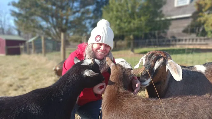 Animal Health and Hospital Picture 4