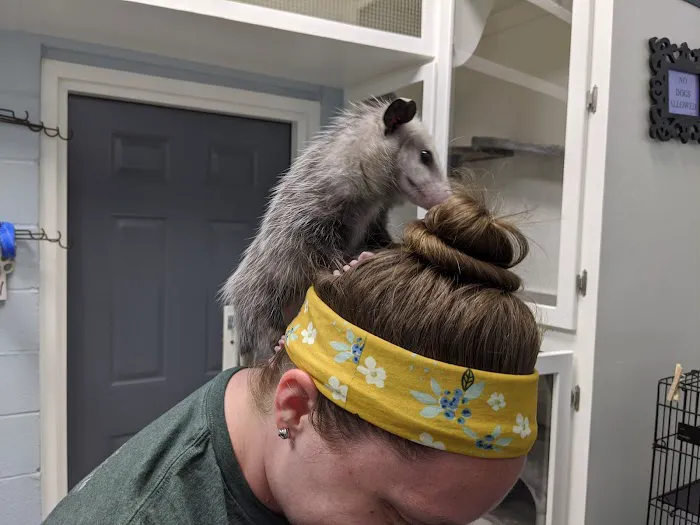 Animal Health and Hospital Picture 5