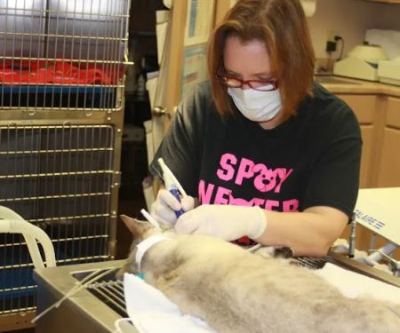North Creek Animal Hospital