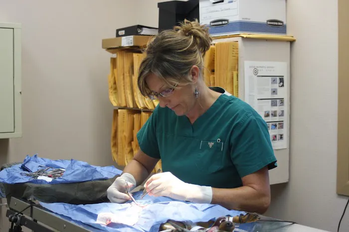 North Creek Animal Hospital Picture 2
