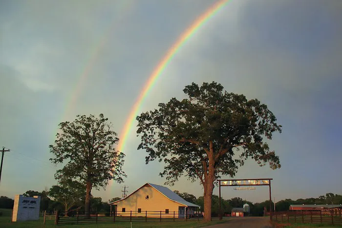 North Creek Animal Hospital Picture 5