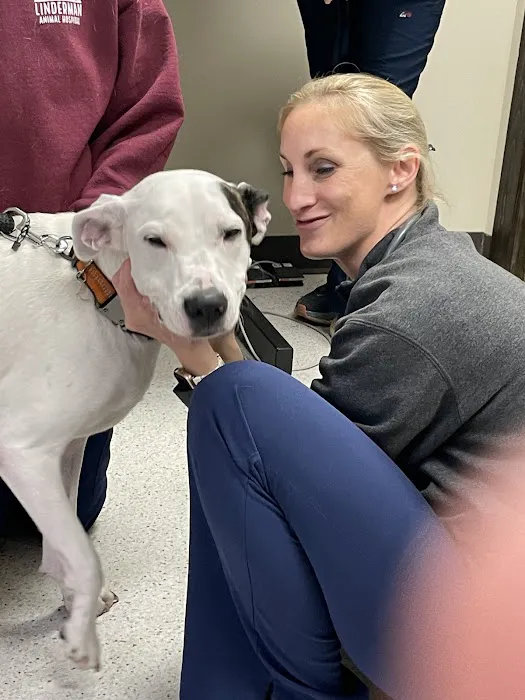 Linderman Animal Hospital Picture 2