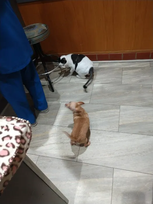 Huntsville Animal Clinic Picture 2