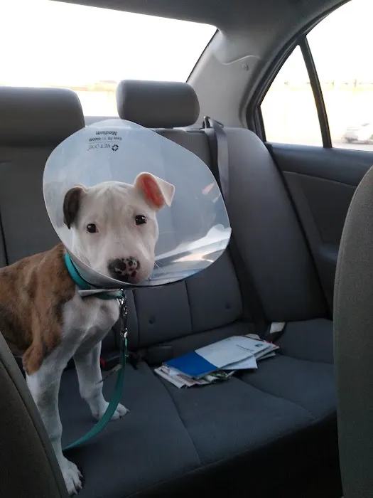 Huntsville Animal Clinic Picture 8