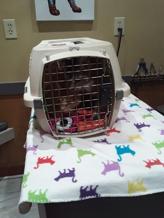 Huntsville Animal Clinic Picture 5