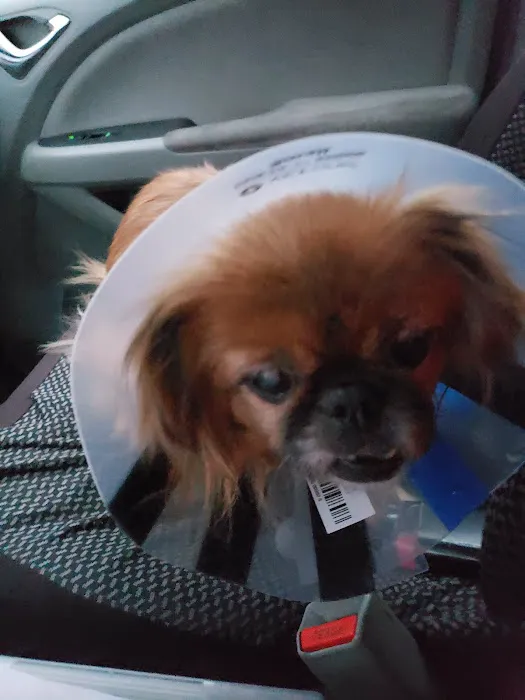 Huntsville Animal Clinic Picture 9