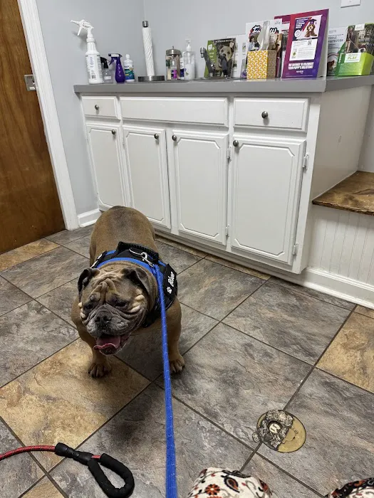 Huntsville Pet Vet Picture 4