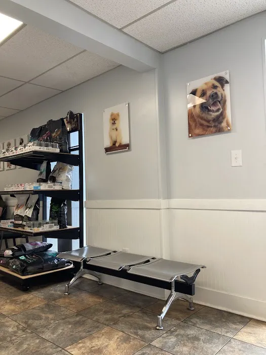 Huntsville Pet Vet Picture 6