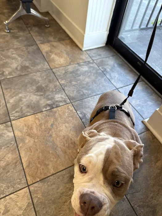 Huntsville Pet Vet Picture 7