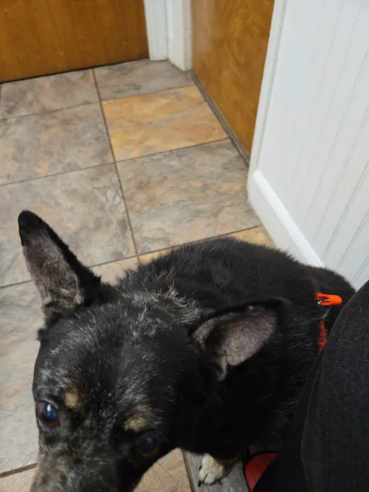 Huntsville Pet Vet Picture 5