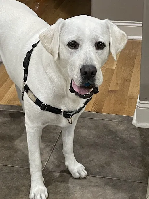 McCurdy Animal Hospital Picture 5