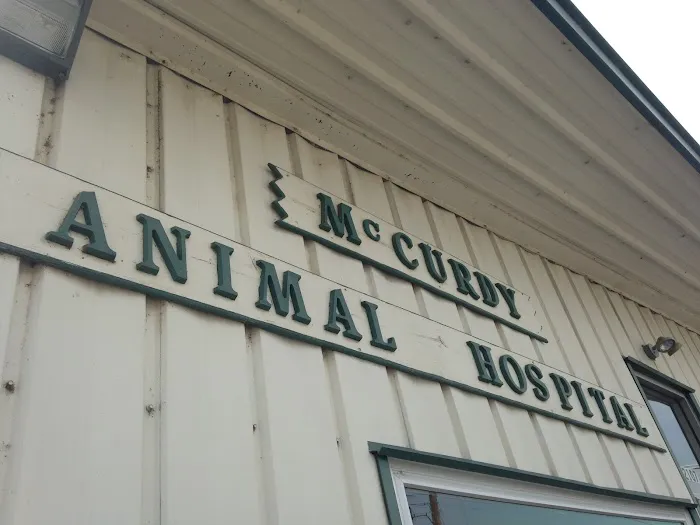McCurdy Animal Hospital Picture 8