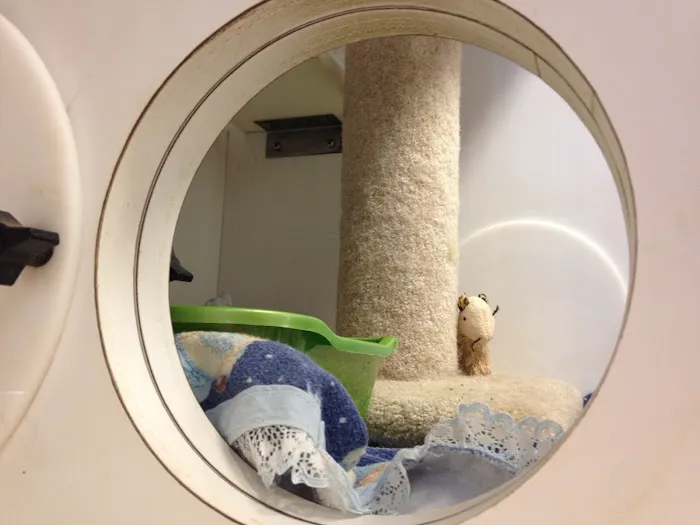 McCurdy Animal Hospital Picture 10