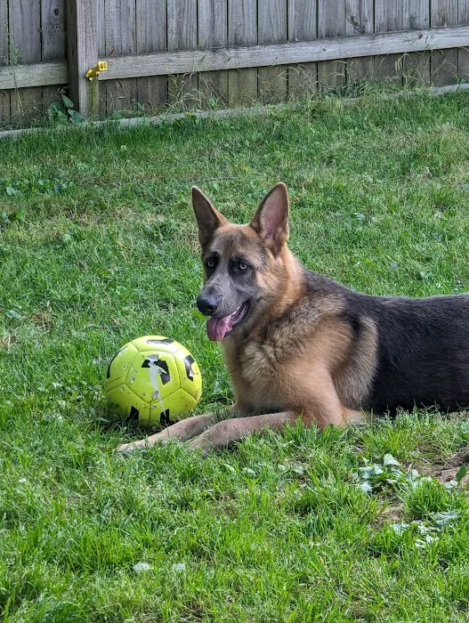 McCurdy Animal Hospital Picture 6