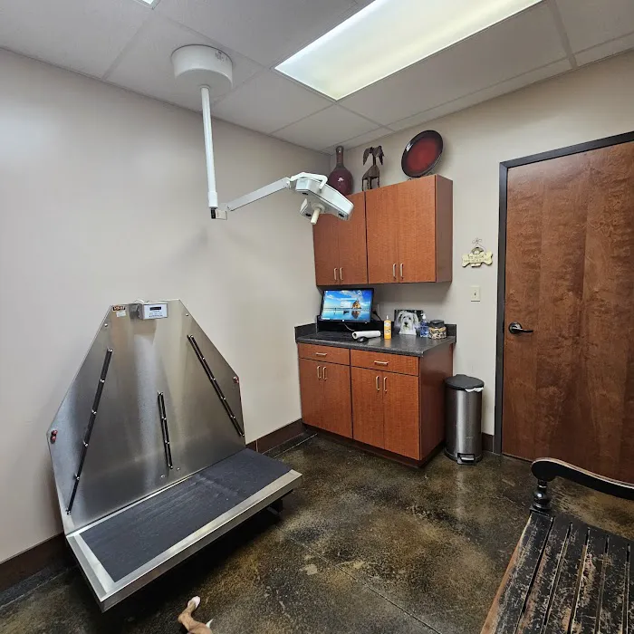 Pet Hospital of Madison Picture 2