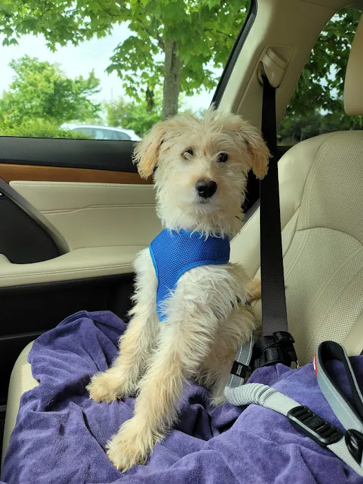Pet Hospital of Madison Picture 8