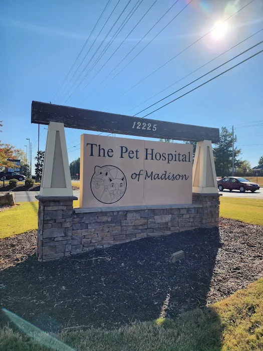 Pet Hospital of Madison Picture 9
