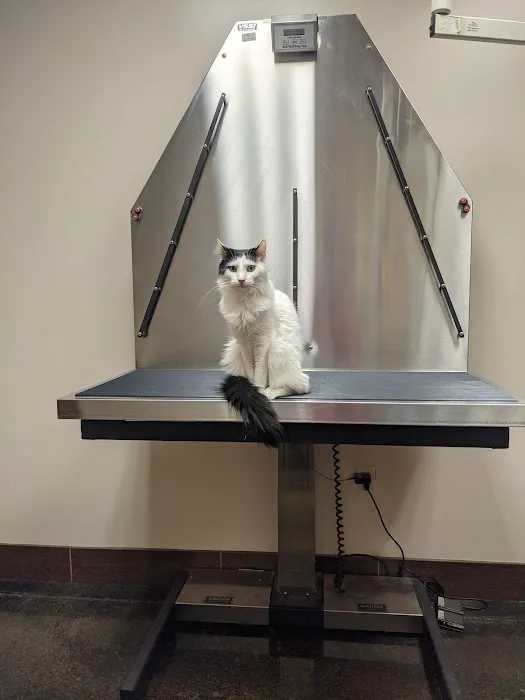 Pet Hospital of Madison Picture 10