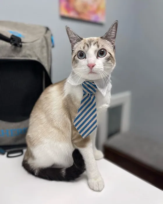 Rocket City Veterinary Hospital Picture 2