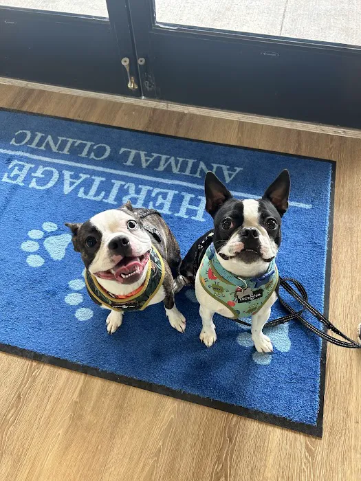 Heritage Animal Clinic Picture 5