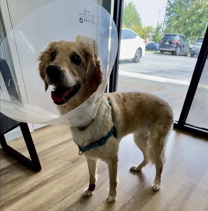 Heritage Animal Clinic Picture 3