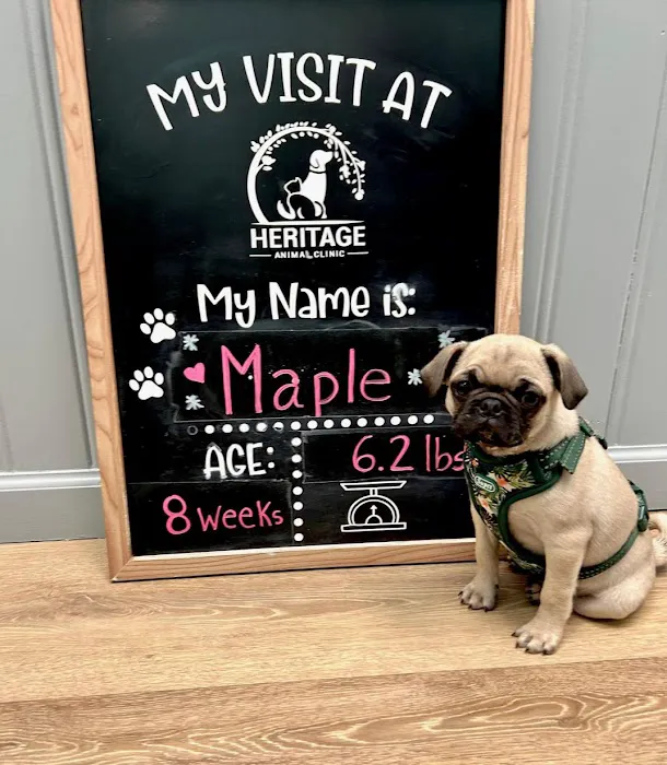 Heritage Animal Clinic Picture 2
