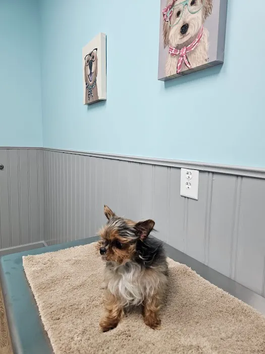Heritage Animal Clinic Picture 4