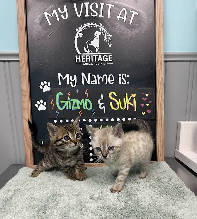 Heritage Animal Clinic Picture 8