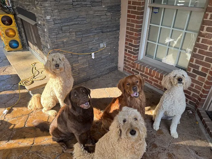 Mill Creek Veterinary Care Center Picture 2